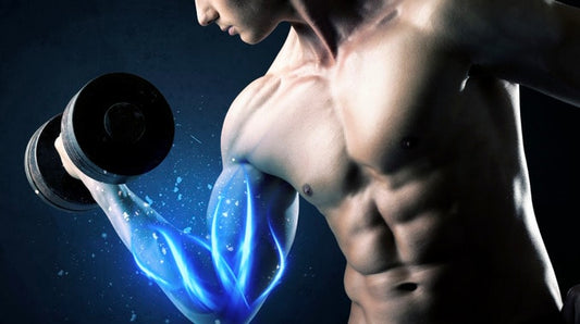 Sauna and Muscle Recovery: What Does the Research Say?